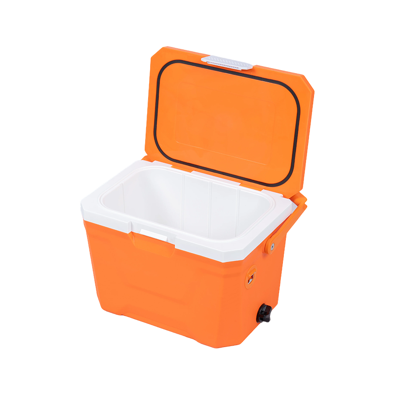 20QT PP Injection Mold cooler box