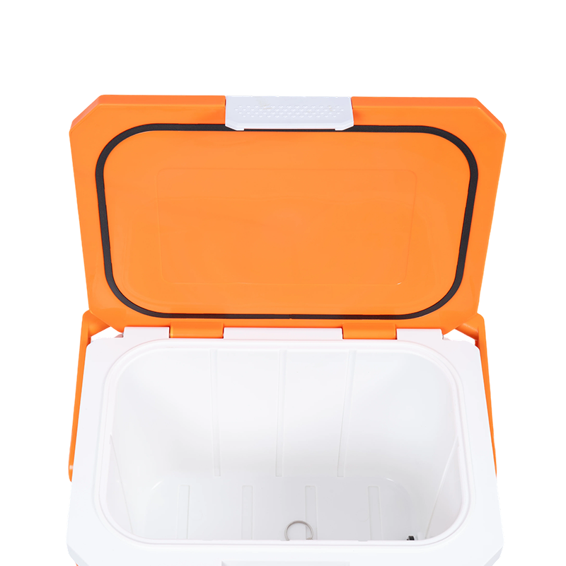 20QT PP Injection Mold cooler box