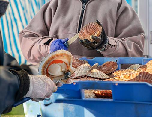 Ningbo Nelgreen Outdoor Products Co., Ltd.